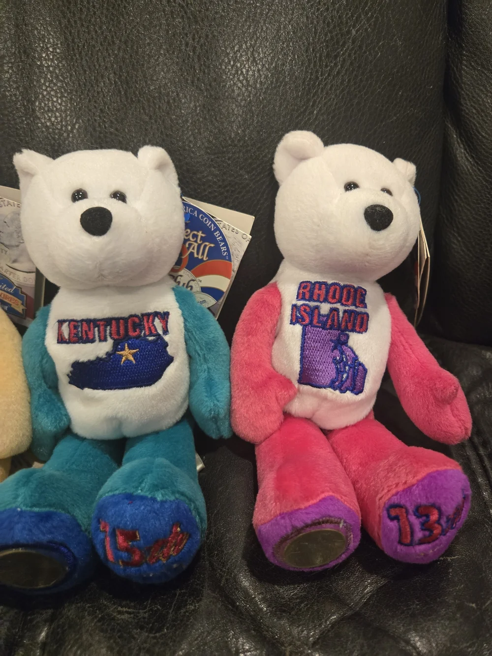 Limited Edition State Quarter Coin Bears – Collectible Plush- Like New - Picture 10 of 12